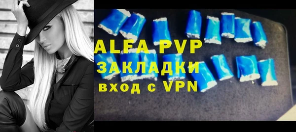 индика Белокуриха