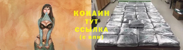 индика Белокуриха