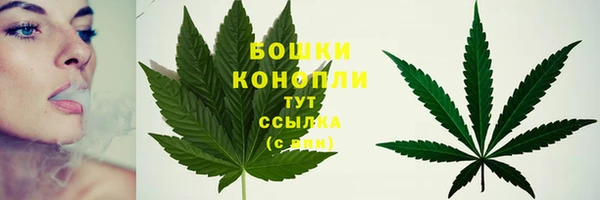 шишки Семёнов