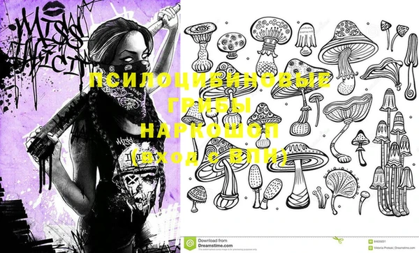 индика Белокуриха