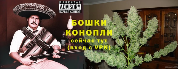 индика Белокуриха