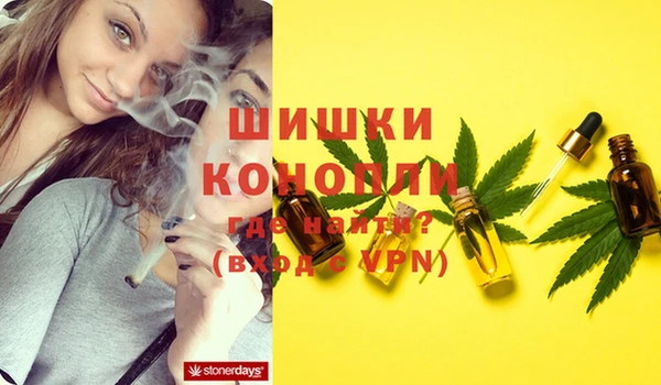 индика Белокуриха