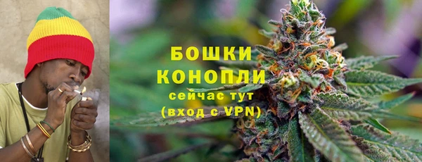 индика Белокуриха